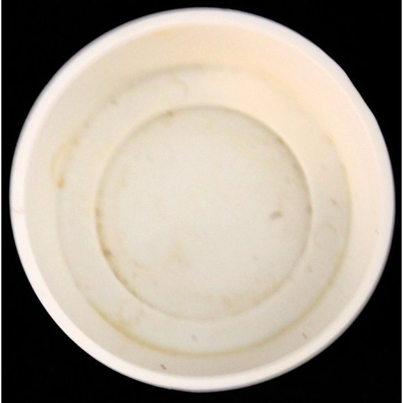 Food Saver Vacuum Sealing Canister Storage Container 25 oz 4.5" Tall - Picture 12 of 12